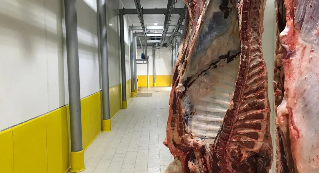 Plinthe à colonne hygiénique 300x220mm